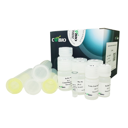 2×Es Taq MasterMix（Dye）