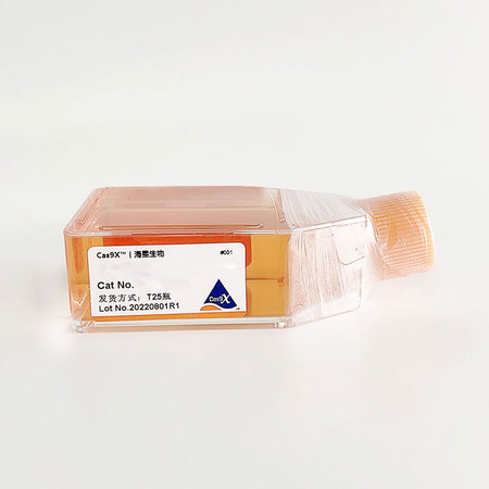 293T细胞hGGN基因敲除株（CGKO-M2254）