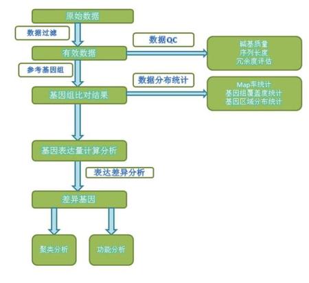 转录组