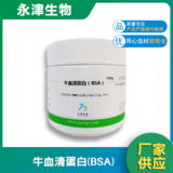 牛血清蛋白BSA