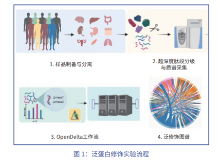 修饰蛋白组学